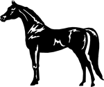 horse silohuette