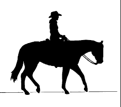 cowfirl on a horse